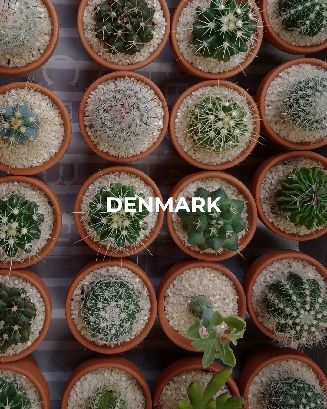 dk Denmark<br />