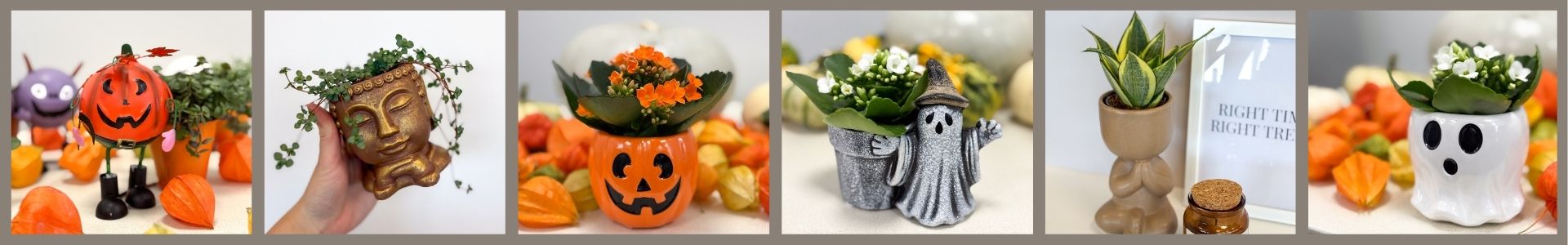 Halloween web banner Halloween web banner