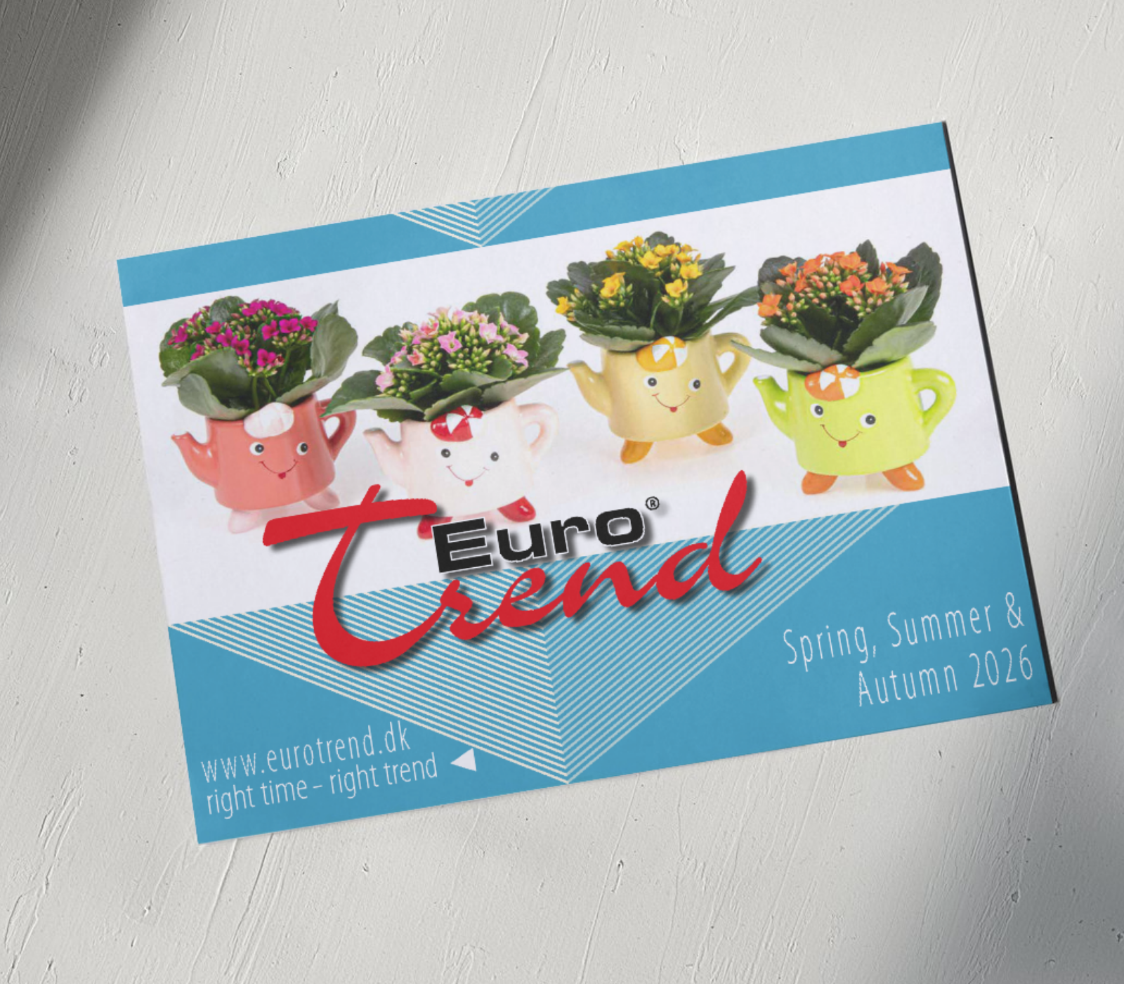 spring, summer, autumn 2026